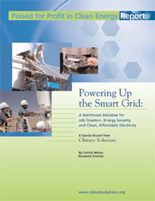 Powering Up the Smart Grid report cover