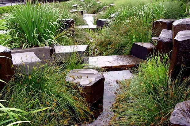 Oregon Convention Center Stormwater Wetland. Photo by Mike Houck