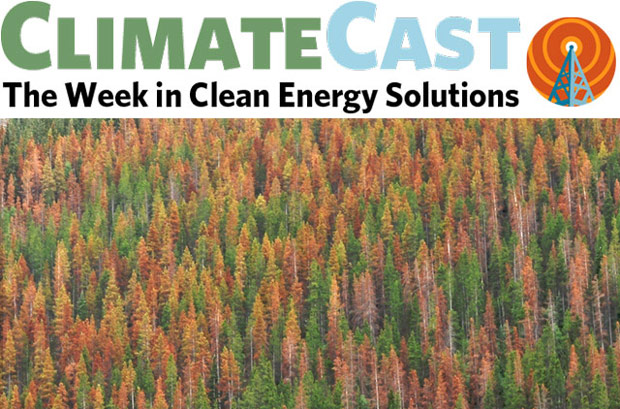ClimateCast logo over beetle-killed forest, British Columbia