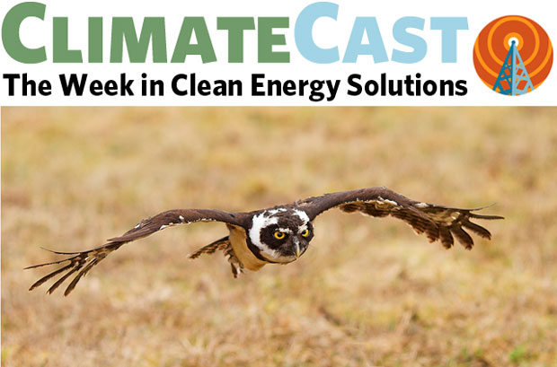 ClimateCast logo over owl in flight