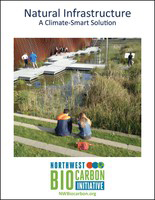 Natural Infrastructire report cover