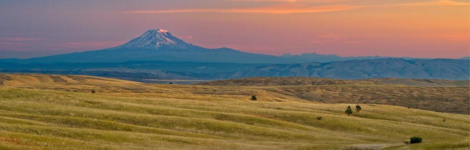 Photo of high prairie with Mt. Adams in background