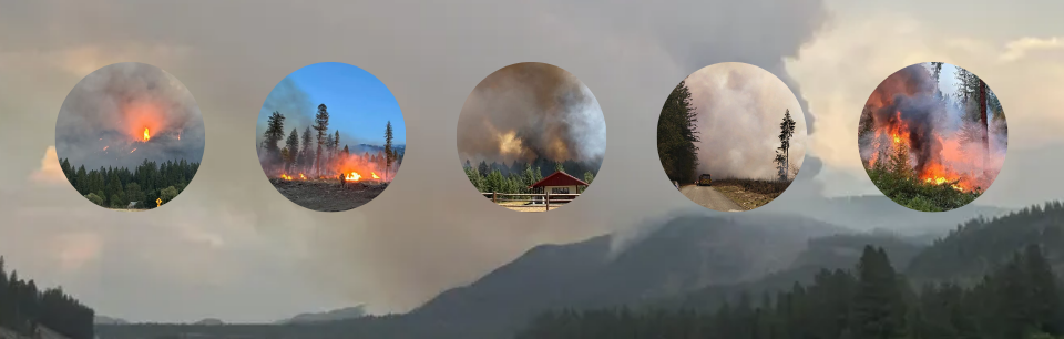 Wildfire images