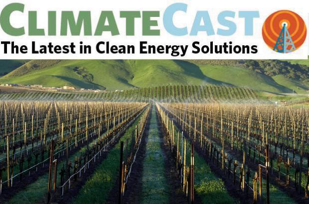 climate cast header over photo of rows of vineyard grapes