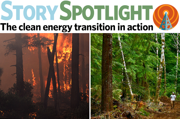 Text reads Story Spotlight: The clean energy transition in action. Below, an image of a burning forest alongside an image of a healthy, green forest.