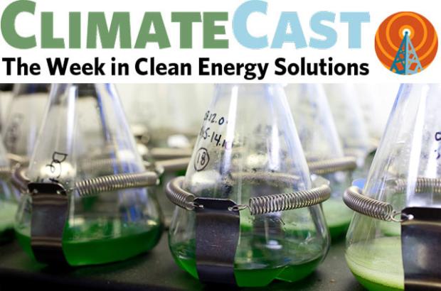ClimateCast Logo over algae in flasks
