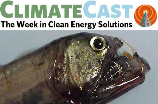 ClimateCast Logo over viperfish