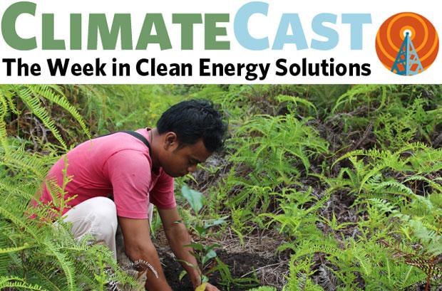 ClimateCast logo above man replanting rainforest tree in Kalimantan, Indonesia