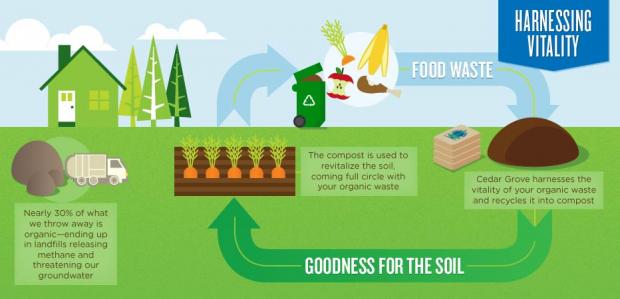 Cedar Grove Infographic