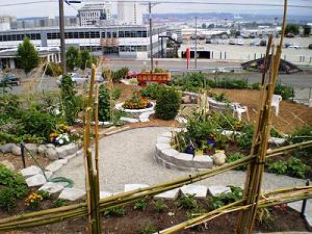 community garden