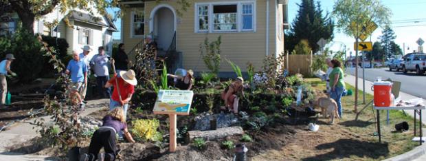 Rain garden installation