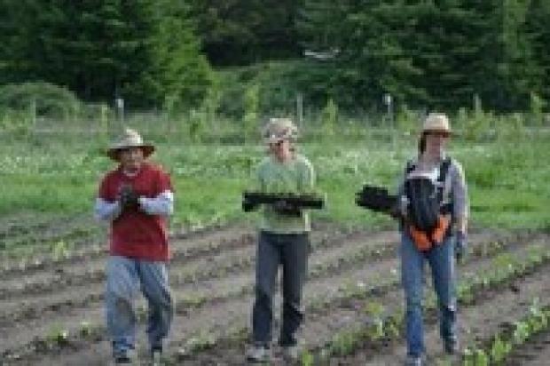 Valley Flora farmers