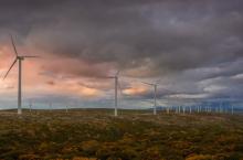 Photo of wind turbines across a hilly field, cloudy sky in background