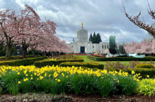 image of the capitol building in Salem with spring flowers