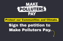 text that asks folks to sign petition for make polluters pay