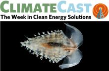 ClimateCast Logo over Pteropod