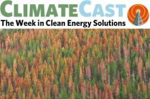 ClimateCast logo over beetle-killed forest, British Columbia