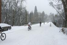 Snow Bikes - Sam Beebe Flickr