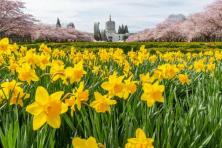 Oregon Capitol in springtime