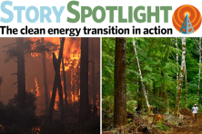 Text reads Story Spotlight: The clean energy transition in action. Below, an image of a burning forest alongside an image of a healthy, green forest.
