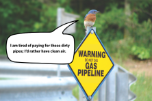 a bird standing on a sign that days warning do not dig gas pipeline and a thought bubble that reads "I am tired of paying for these dirty pipes; I'd rather have clean air.