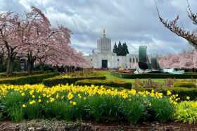 image of the capitol building in Salem with spring flowers