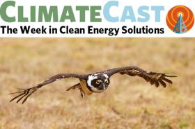 ClimateCast logo over owl in flight