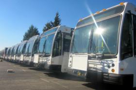 TriMet buses in the sun