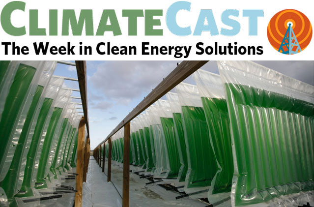 ClimateCast Logo over algae in bags