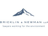 bricklin newman logo 160.jpg