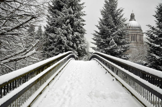 snowy path to Washington State Capitol